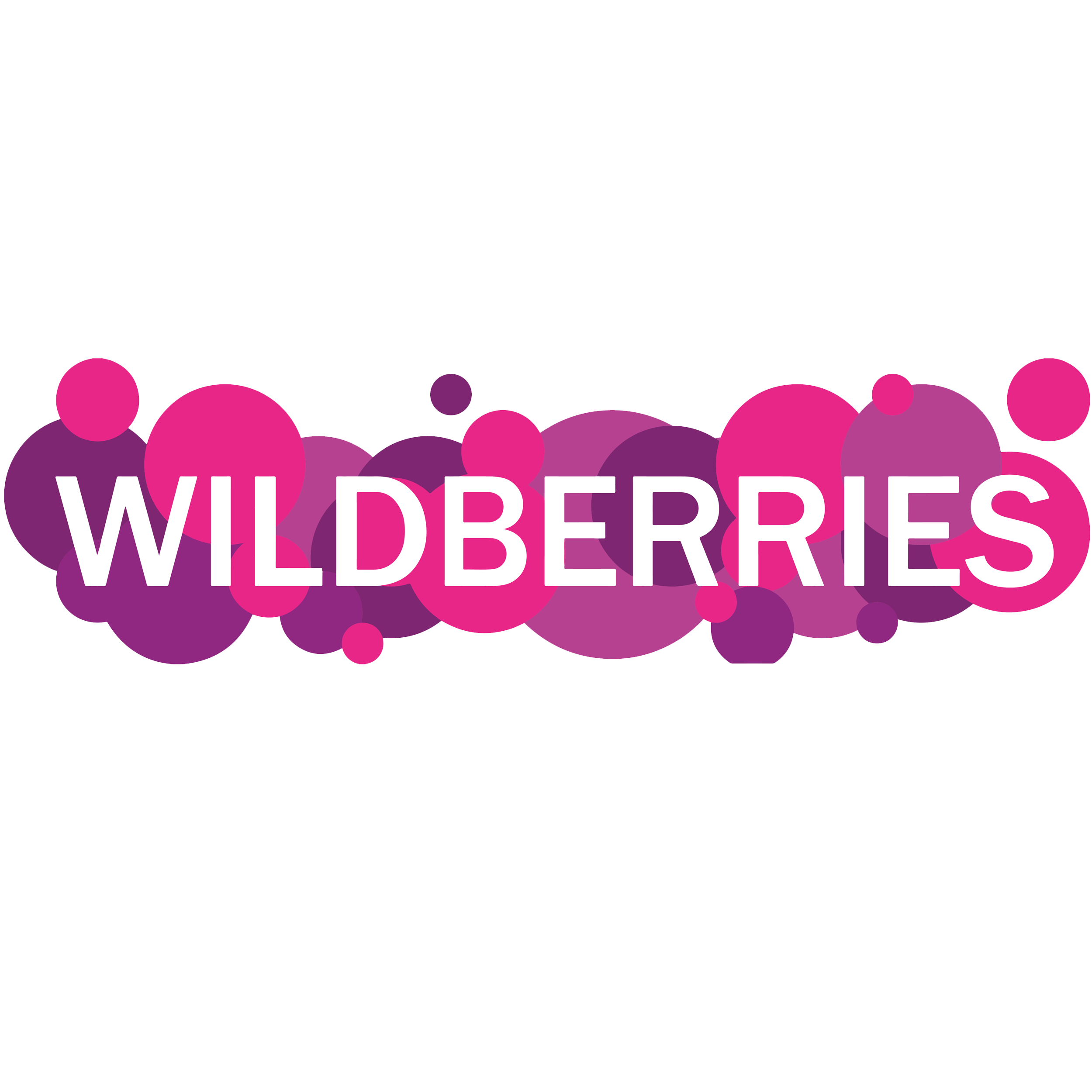 Сеть интернет магазинов "Wildberries"